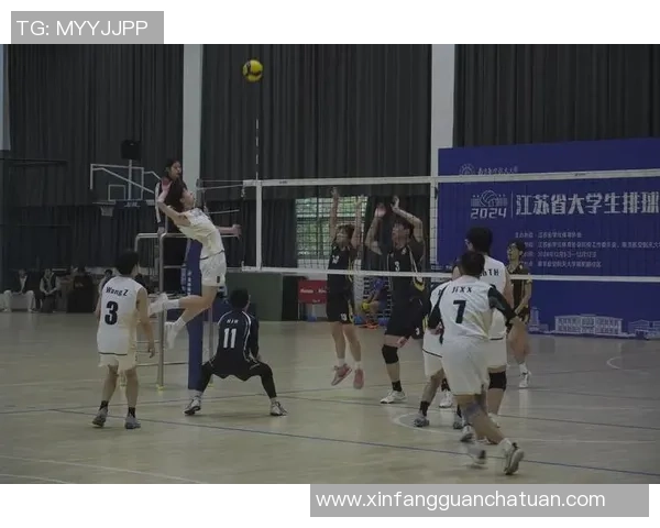 杭州排球队荣登排球意识排行榜第三名展现实力与团队精神 杭州排球队荣登排球意识排行榜第三名展现实力与团队精神