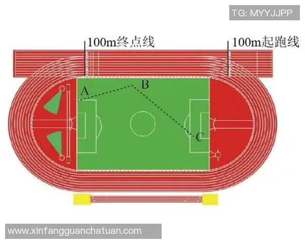 足球明星与田径明星的职业特点与成就差异分析 足球明星与田径明星的职业特点与成就差异分析