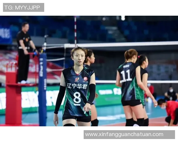 最新排球心理素质TOP10：北京排球队领跑