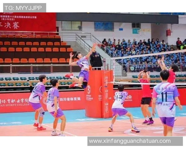 选拔赛点评：成都排球队的团队协作表现