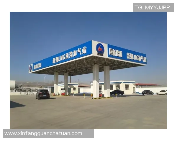 专业解读：LNG的控制打法