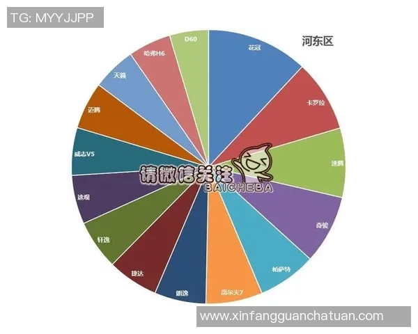 独家分析：武汉羽毛球队的实力对比