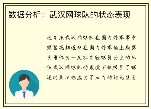 数据分析：武汉网球队的状态表现