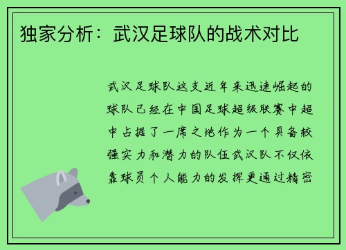 独家分析：武汉足球队的战术对比