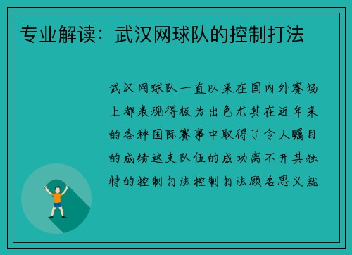 专业解读：武汉网球队的控制打法