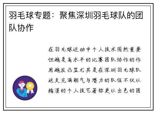 羽毛球专题：聚焦深圳羽毛球队的团队协作