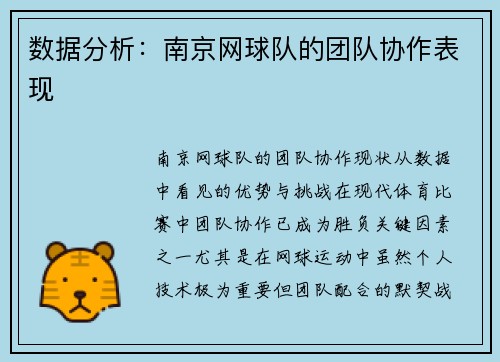 数据分析：南京网球队的团队协作表现