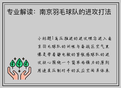 专业解读：南京羽毛球队的进攻打法