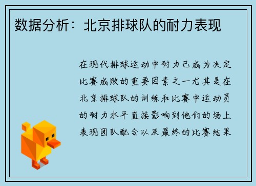 数据分析：北京排球队的耐力表现